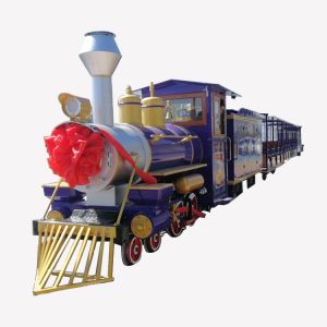 Tourist Train Ride TRB10