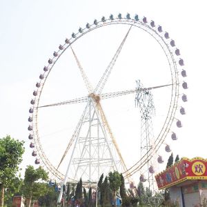 Ferris Wheel Ride MTL-88
