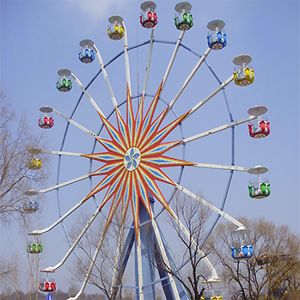 Ferris Wheel MHS-30